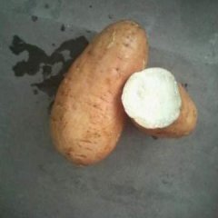 十几年的经验 热心对待每一个客户