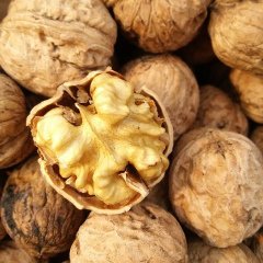 河北唐山老品种，辽系，新疆33各种型号核桃