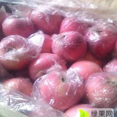 临猗山西张先生12月红富士苹果