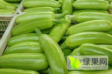 2016年山东费县法拉利价格