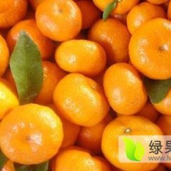 南丰本人代办南丰蜜桔多年，有丰富的经验