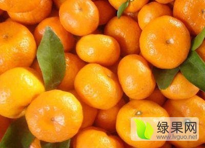2017年江西南丰南丰蜜桔价格