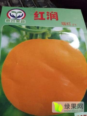2017年山东莘县瑞红价格