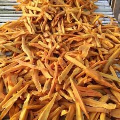 承德上板王洪宝12月黄心薯红薯