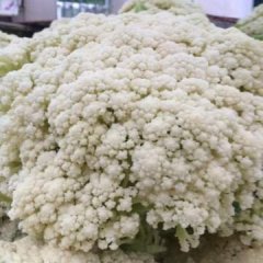 福建白面青梗散花 、有机散花 菜花