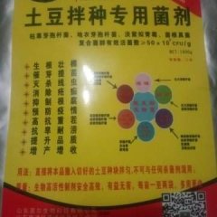 岱岳菌柯天农土豆拌种专用菌剂