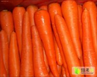 2017年山东金乡三红胡萝卜价格