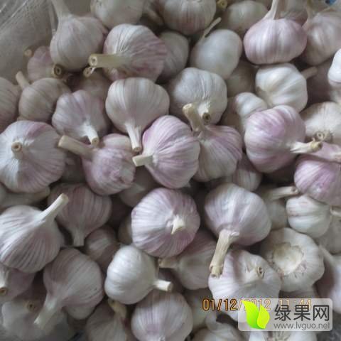 2017年山东金乡金乡大蒜价格