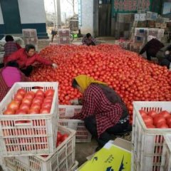 聊城蔬菜批发中心李合增诚信合作