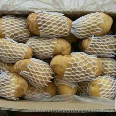 大量供应昌邑优质库存土豆