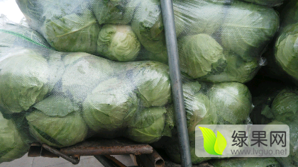 西昌甘蓝诚意代办,礼州尹雄诚信合作