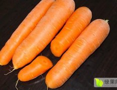 宛城今年新产的新鲜萝卜，天然农家胡萝卜