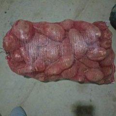 夏邑红薯长势旺盛 质量有保证