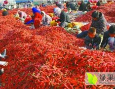 辽宁凌海市各种干椒大量上市啦！！！