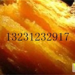 雄县红薯 本基地主营红薯、薯片