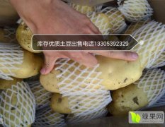 日照库存荷兰土豆1.2元/斤