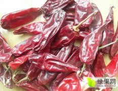 内蒙古开鲁市场北京红鲁红干辣椒价格