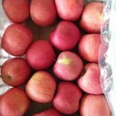 临猗苹果火爆招商中,角杯吉克功诚信合作