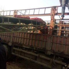 河南中牟红皮洋葱 冷库红皮洋葱出售