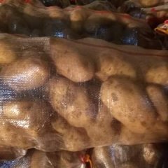 内蒙古集宁荷兰十五土豆香甜可口