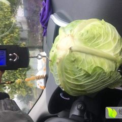 湖南省岳阳市君山区广兴洲镇