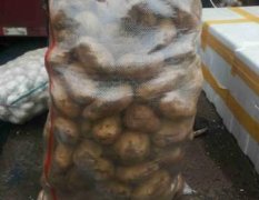 2017南陵土豆到4月20结束，1000亩左右