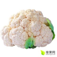 南水北调水源地  淅川菜花