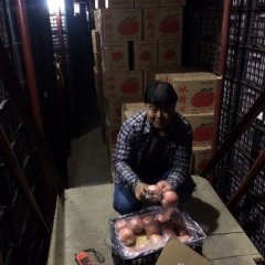 2022年运城临猗和万荣县冷库纸加膜红富士苹果