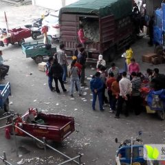 代销沙糖桔小张果业诚信合作