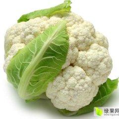 天门菜花诚意代办张港张锋诚信合作