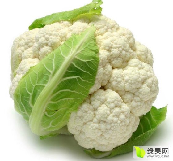 2017年湖北天门雪玉价格