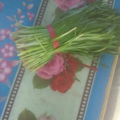 北宁韭菜艽菜大量上市黑铁坨和汉中