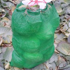 长期供应新鲜应季蔬菜质量好