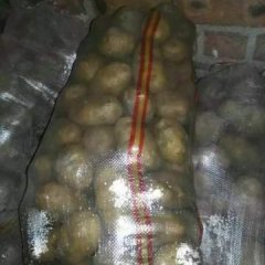 本处常年代办各种土豆，品种有荷兰，十四，十