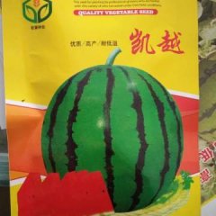 2017最新大个西瓜品种――凯越