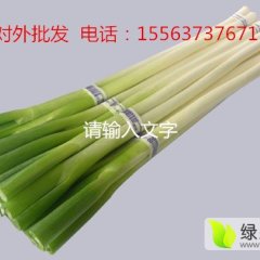 山东安丘急售优质大葱150吨