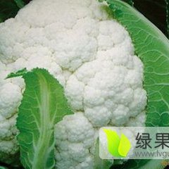 2017天门菜花火爆招商中花菜大王诚信合作