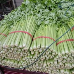 新老客户，砀山芹菜，辣椒大量供货