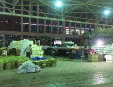 衢州新农都有一档口 长期经营各类蔬菜