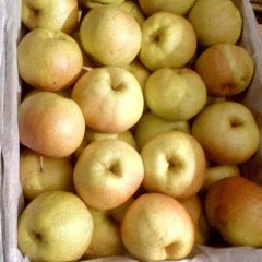 冷库特殊好的苹果梨 每斤一块三四