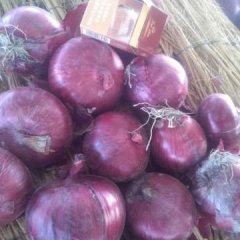 嘉峪出售红皮洋葱每吨1300