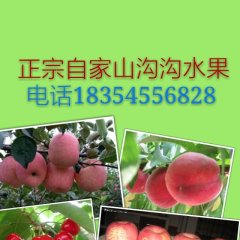 2017栖霞樱桃值得出手