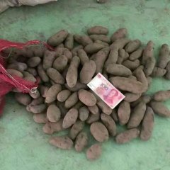 河北围场有机黑金钢13吨出库