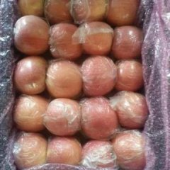 山西省万荣县是纸加膜红富士价格低谷