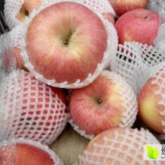 阿珍果业 苹果代销