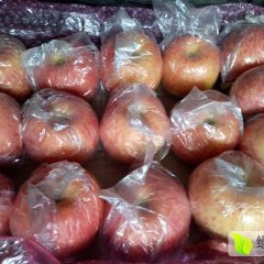 运城临猗县北辛赵村果品交易市场