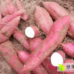 淮阳县、灏博苑生态家庭农场