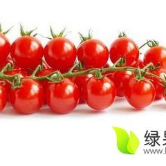 聊城大量樱桃西红柿，上市了