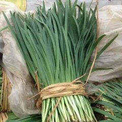 香河韭菜种植基地本人代购韭菜品质优良