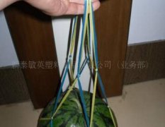 山东新泰供应西瓜专用网兜
